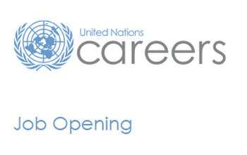 UN jobs